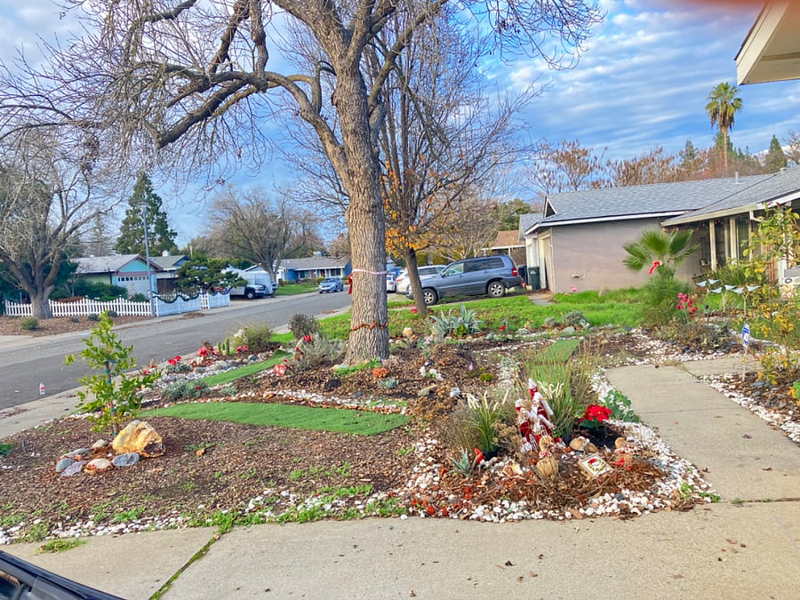 A peak at the neighborhood.It is a 5 minute walk to a shopping center and about 10 minutes to the River Trail.