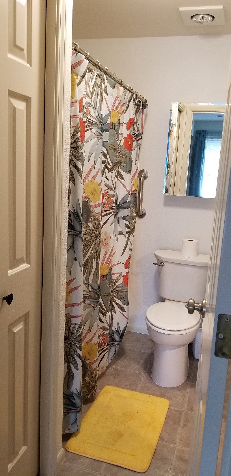 Toilet, shower and bathroom closet