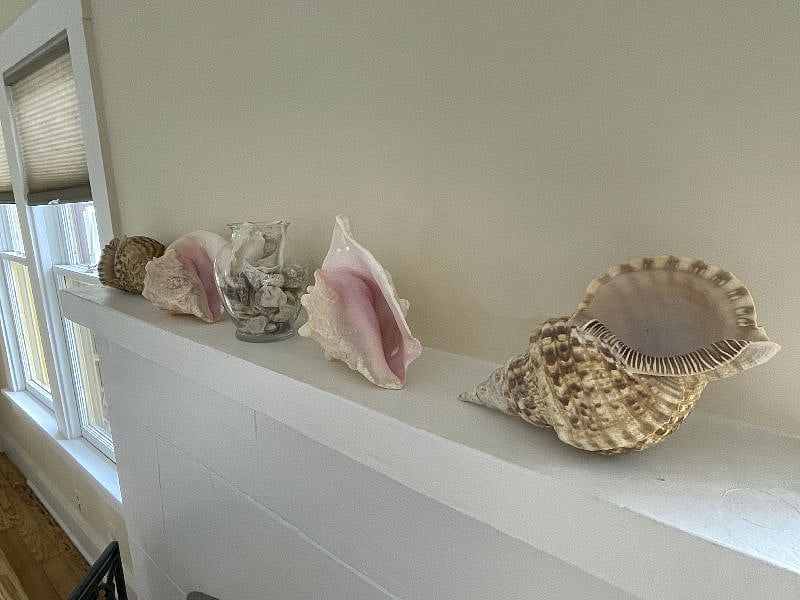 Our sea shells listen you can hear the ocean within
