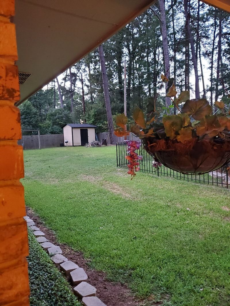 Furnished Finder property 403806_1 photo 28