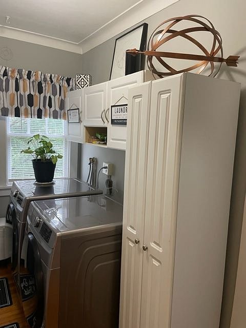 Furnished Finder property 404026_1 photo 22