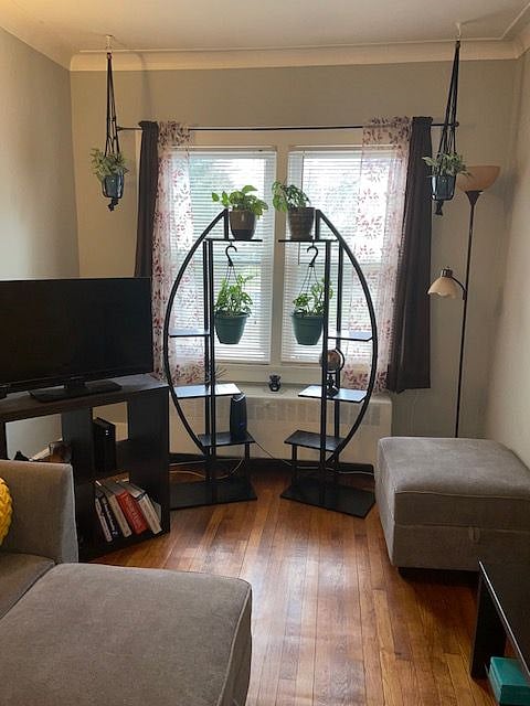 Furnished Finder property 404026_1 photo 27