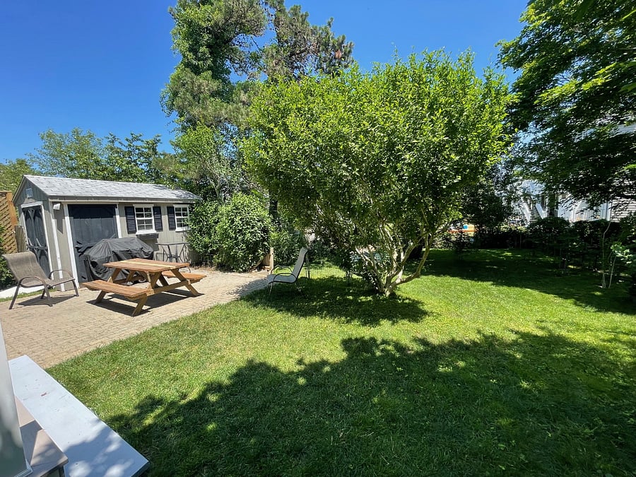 Rear patio