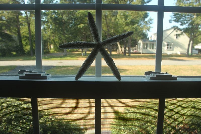 Furnished Finder property 404119_1 photo 19
