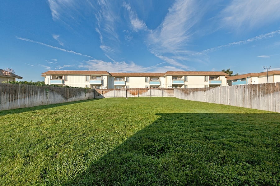 Furnished Finder property 404409_1 photo 14