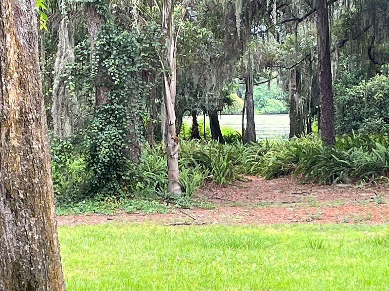 view of river from porch
