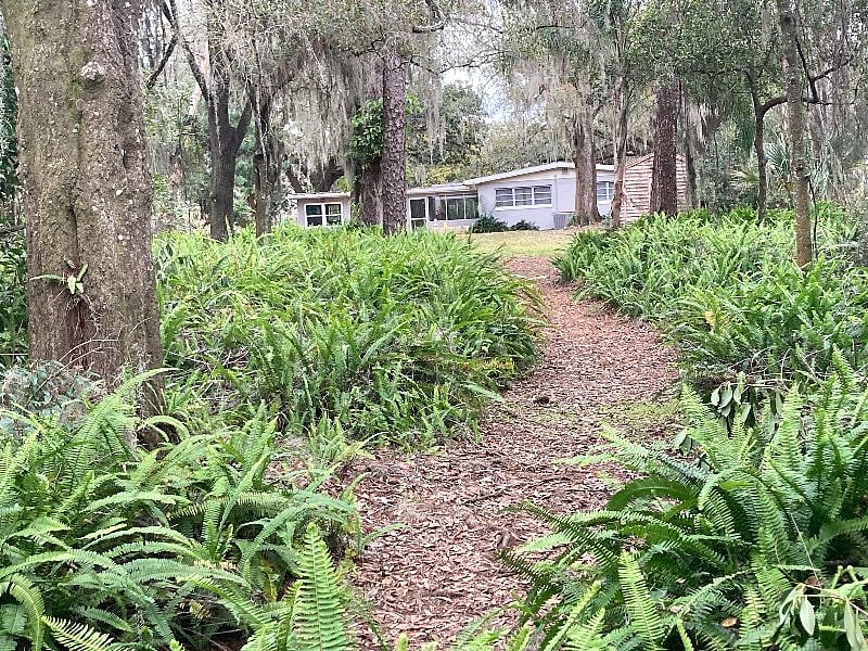 Rear of house from Scout park trail