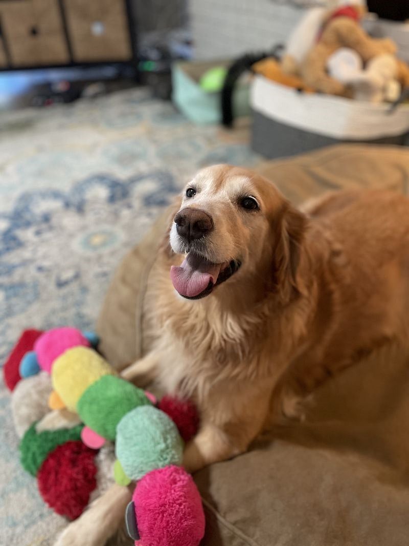 Satisfied customer Lola visited in 2022