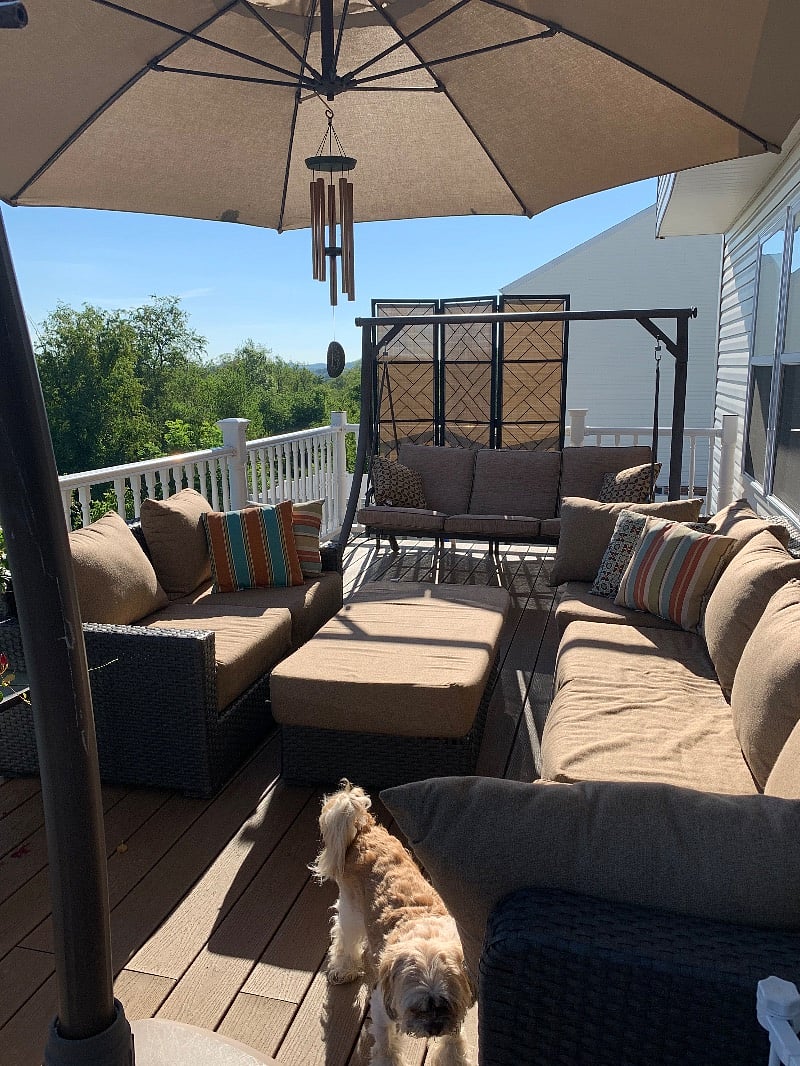 Furnished Finder property 404594_2 photo 11