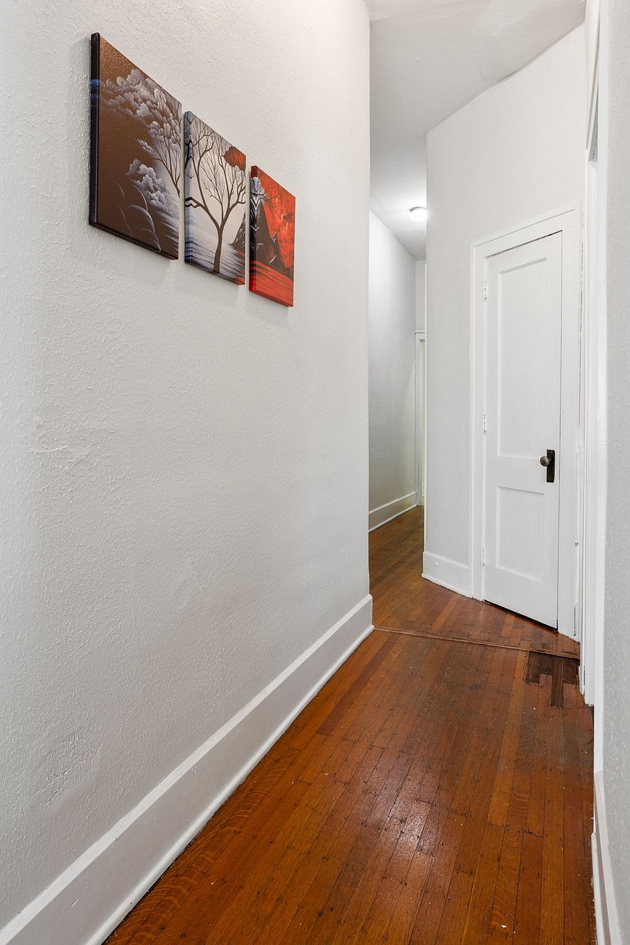 Furnished Finder property 404605_3 photo 11
