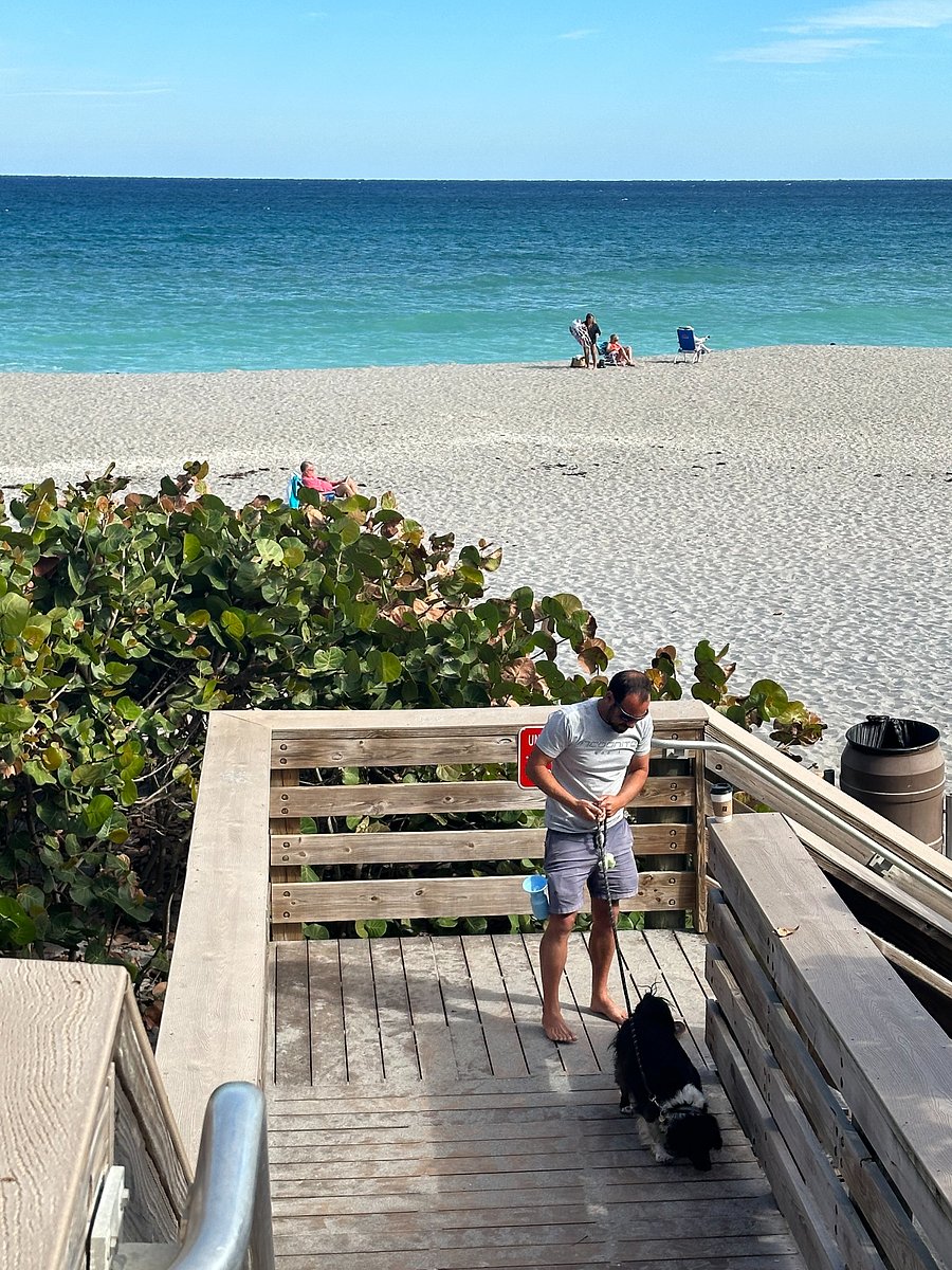 Beautiful local beach, dog friendly