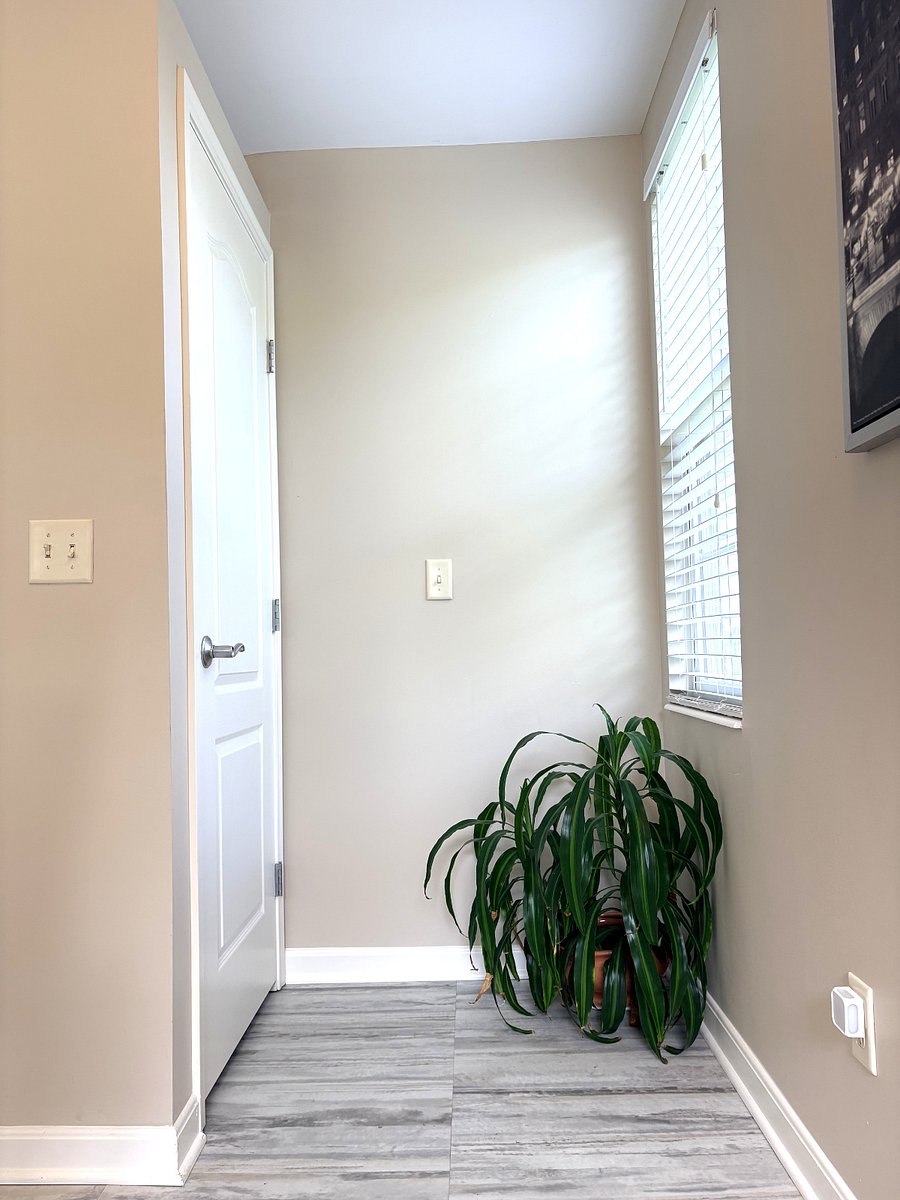 Furnished Finder property 404777_1 photo 5