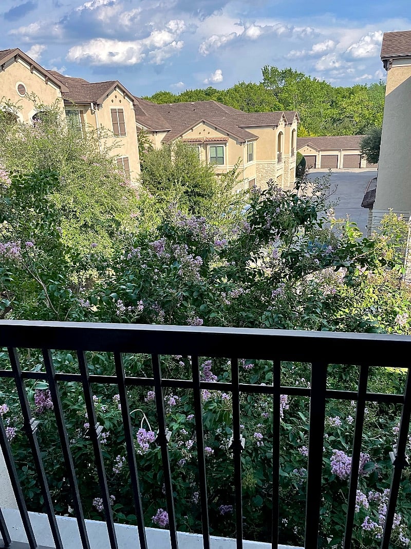 Furnished Finder property 404807_1 photo 25