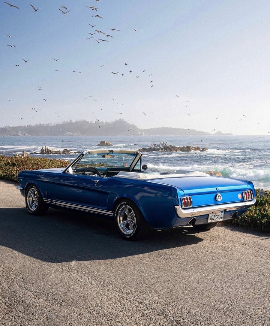 The Monterey touring company is 1.5 blocks from the house. They have dozens of classic cars you can rent and drive the California PCH Highway 1 with.