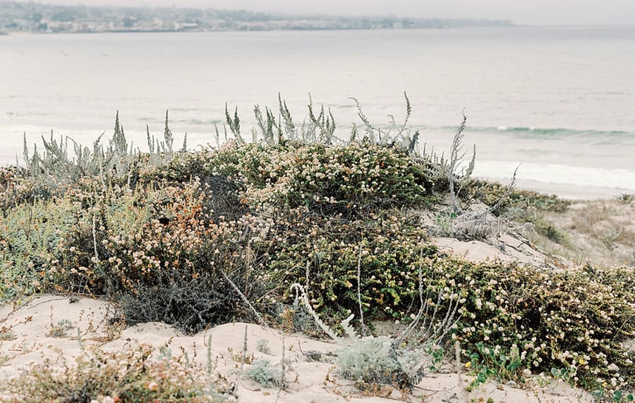 Walk to a dog-friendly beach in the picturesque coastal neighborhood showcased in HBOs Big Little Lies