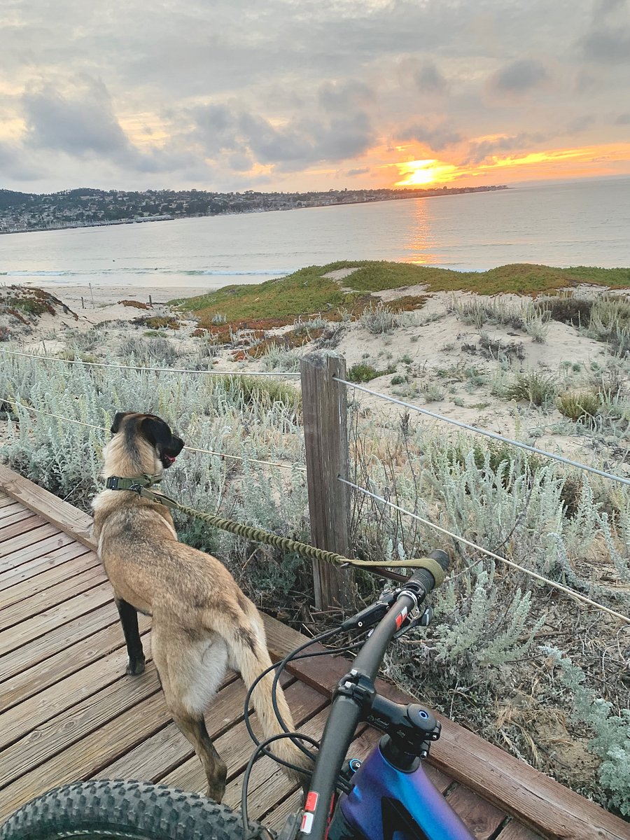 Walk to a dog-friendly beach in the picturesque coastal neighborhood showcased in HBOs Big Little Lies