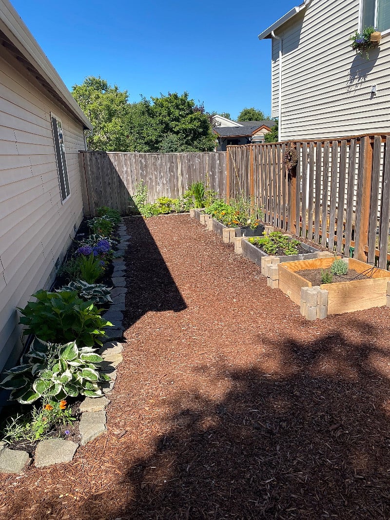 Raised beds and flower garden 
