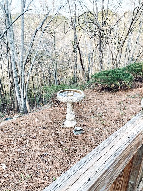 Furnished Finder property 404962_1 photo 22