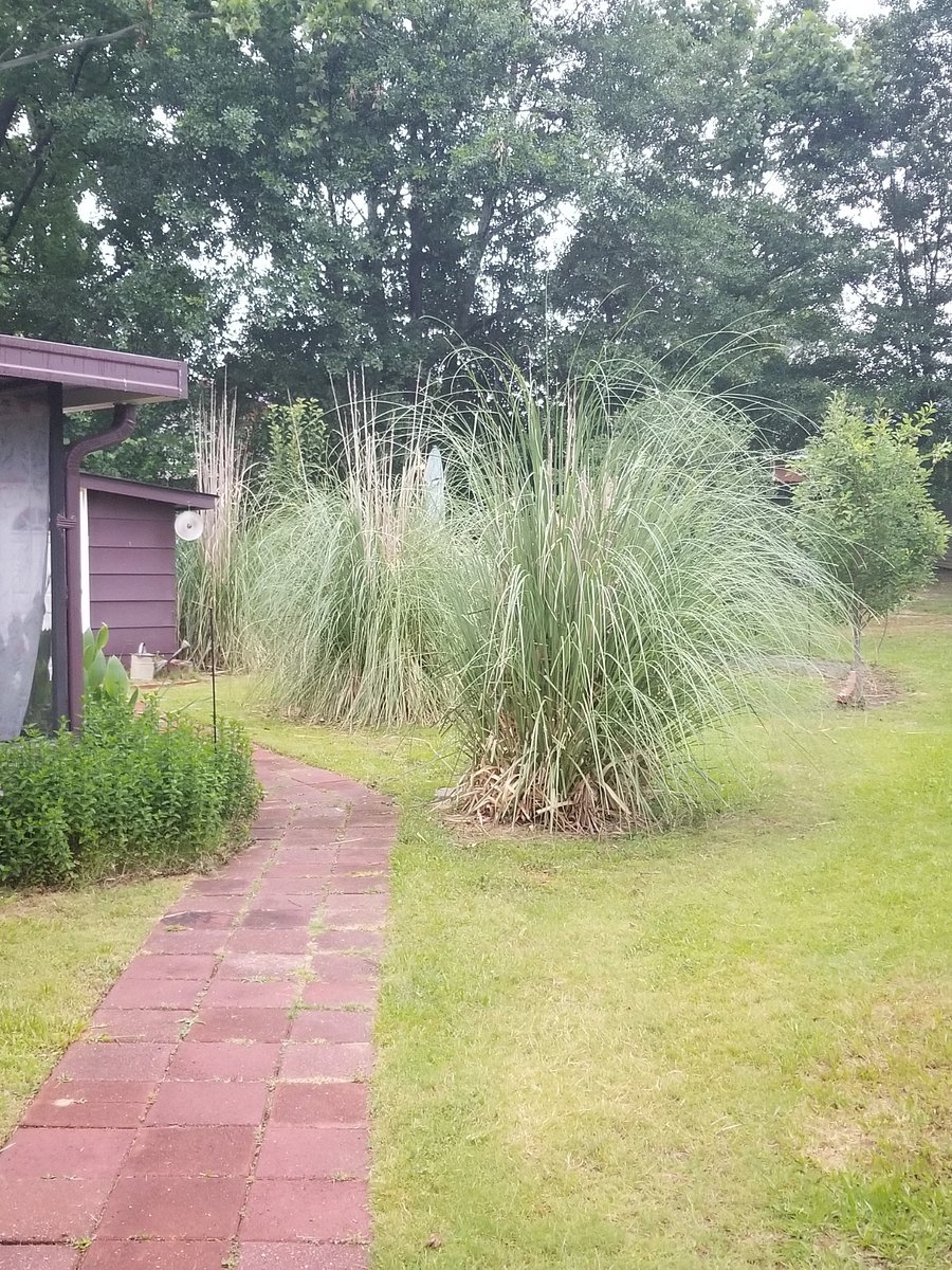 Furnished Finder property 404989_1 photo 11