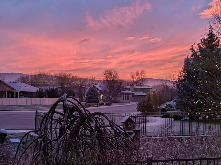view from patio 