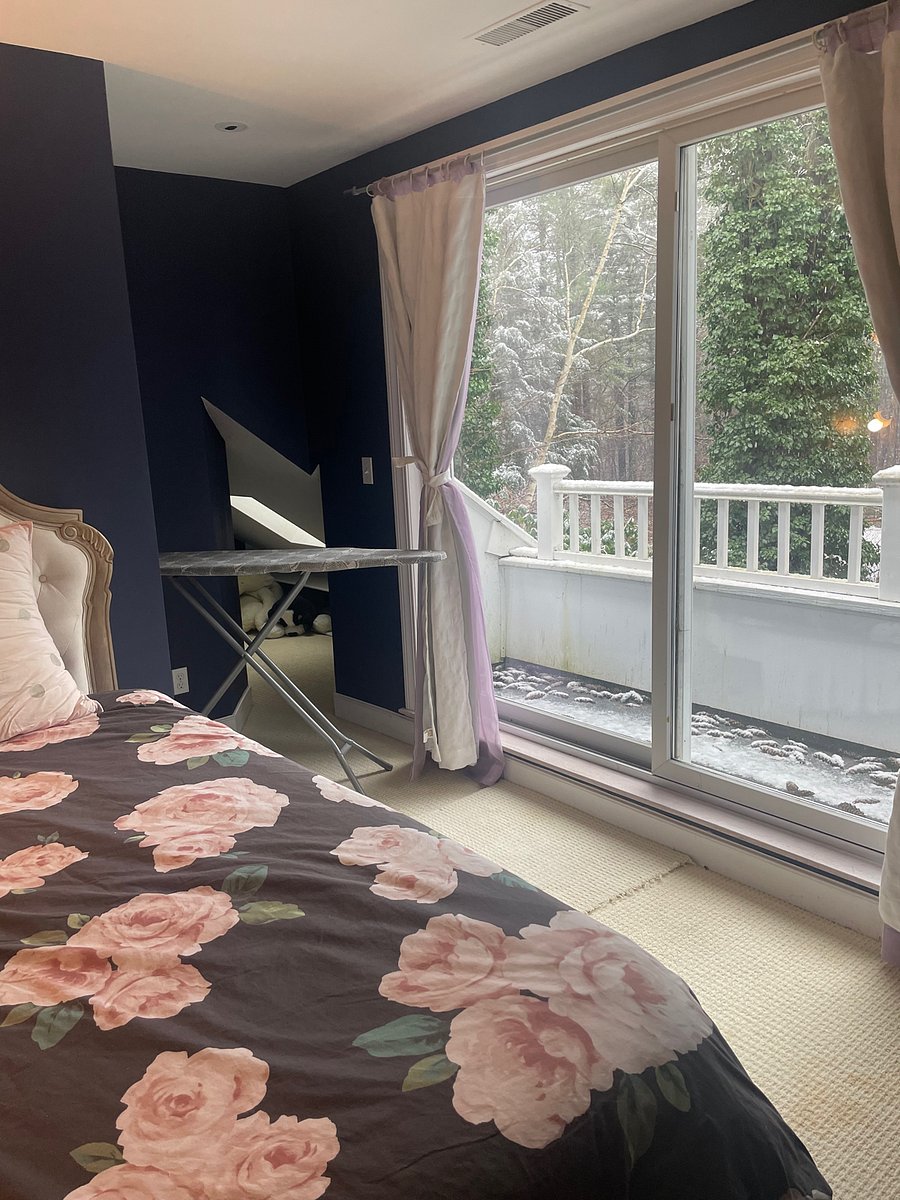 Furnished Finder property 405331_3 photo 6