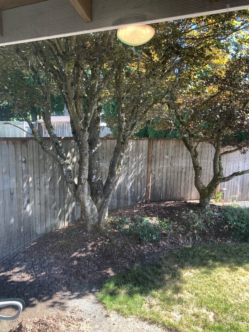 Furnished Finder property 405461_1 photo 3