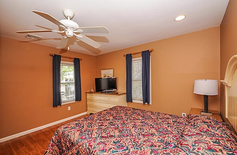 Furnished Finder property 405587_2 photo 7