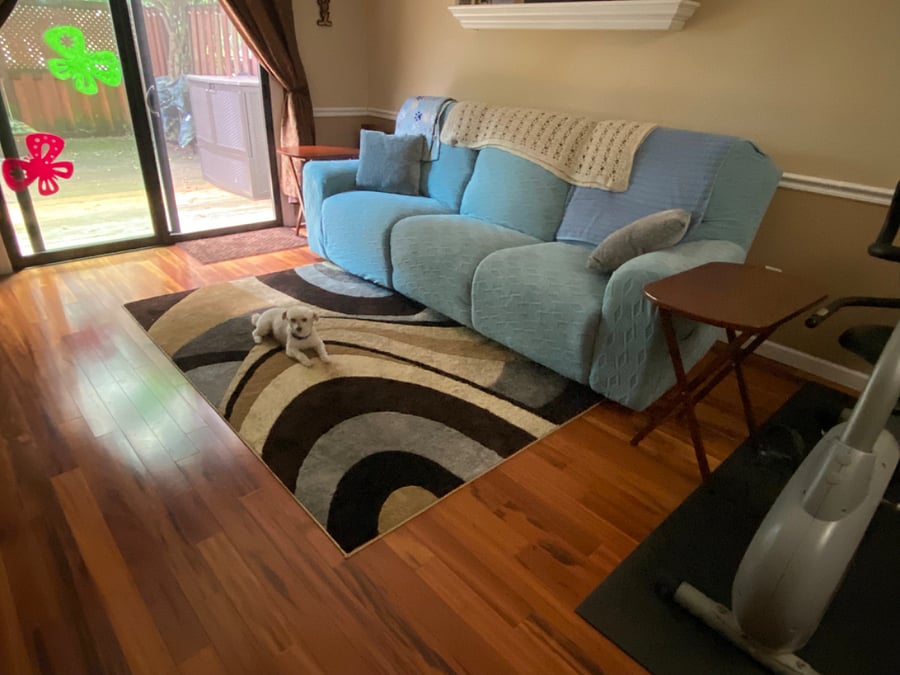 Furnished Finder property 405770_1 photo 7