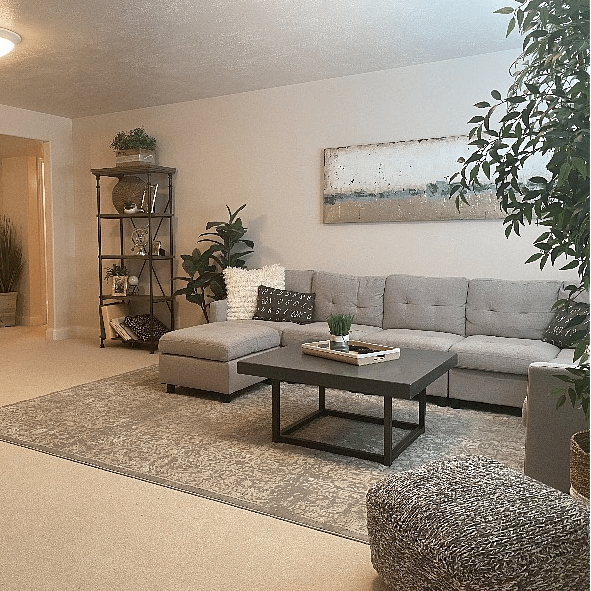 Your Private Family/TV Room
