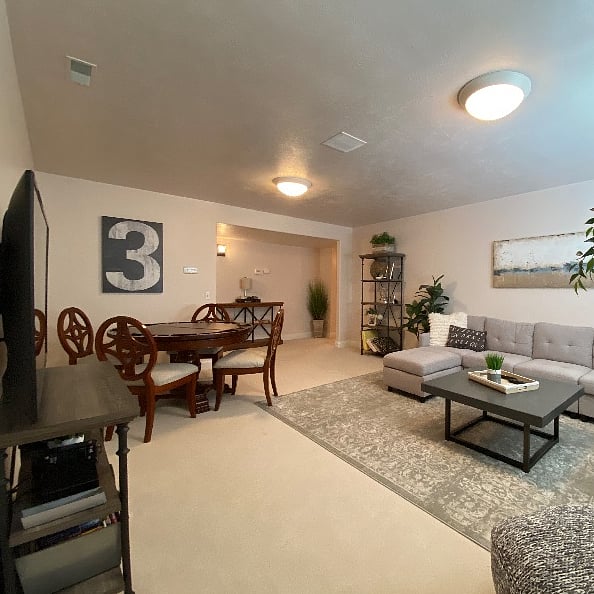 Your Private Family/TV Room