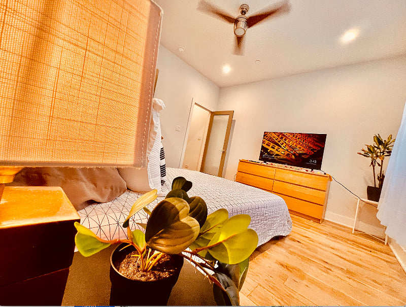 Furnished Finder property 406020_1 photo 27