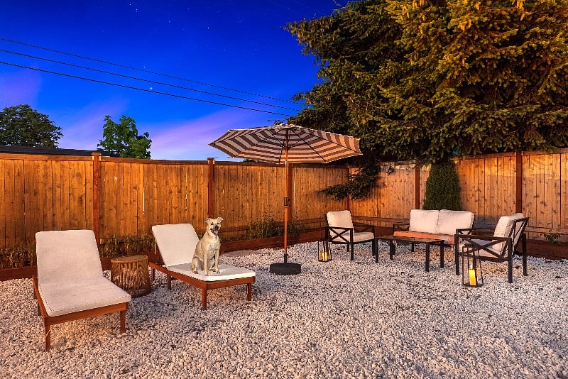 Furnished Finder property 406175_1 photo 17