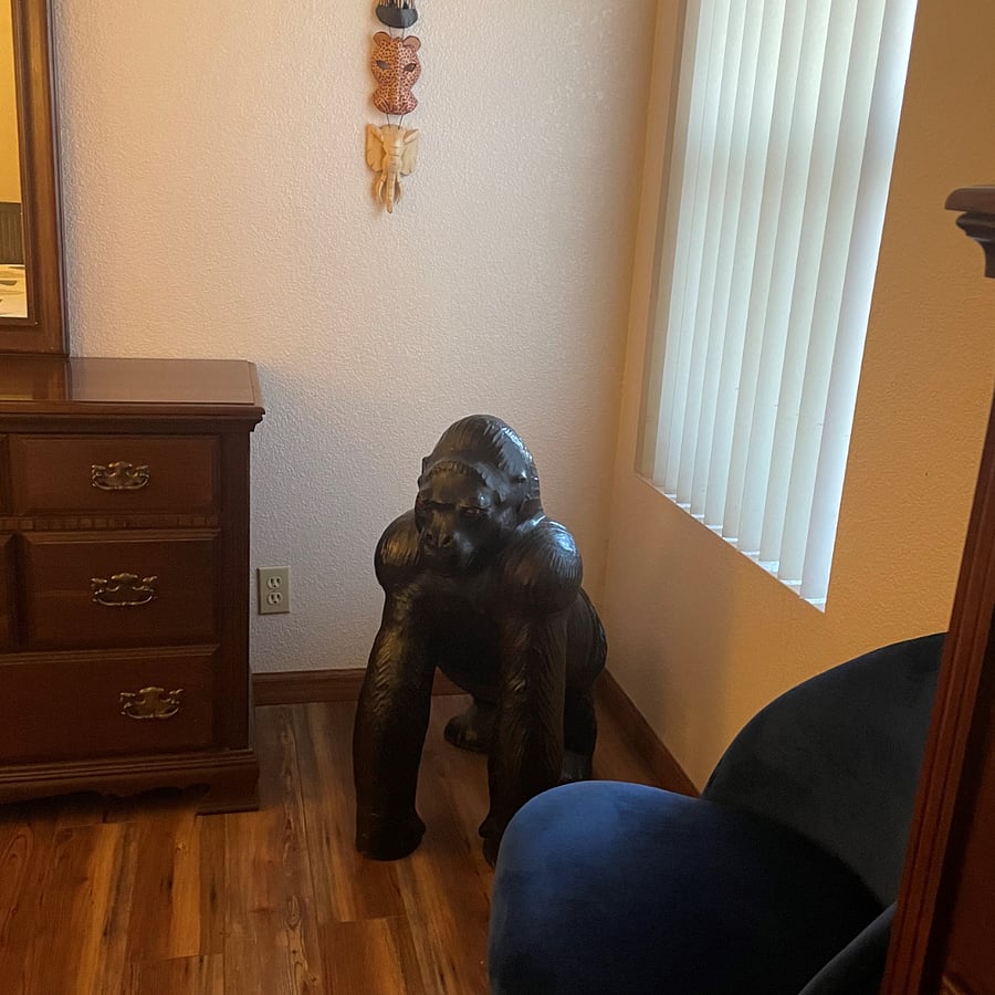Furnished Finder property 406257_1 photo 13