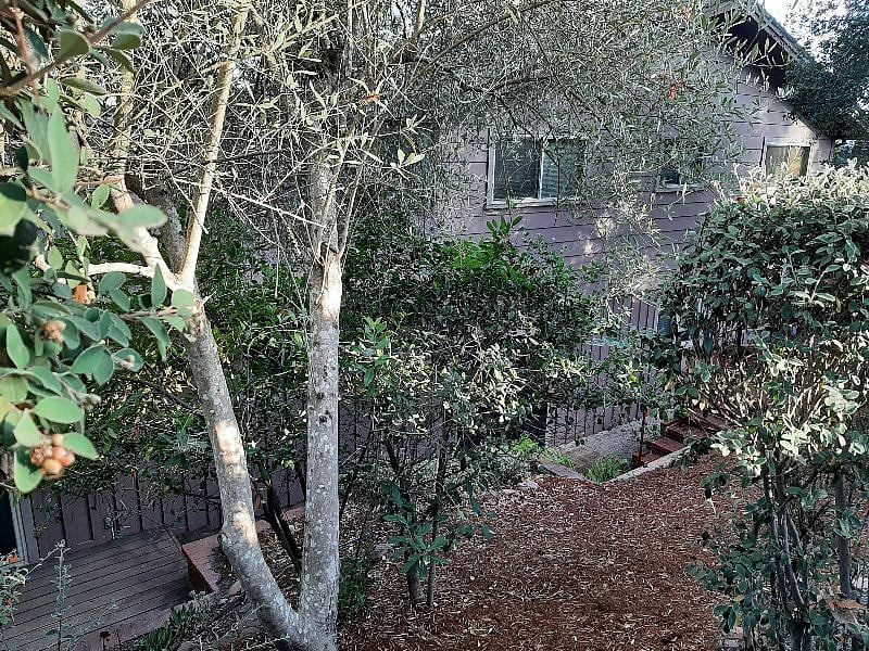 View of front of house looking over the fence from the street