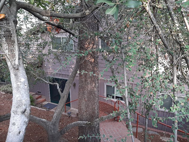 Steps from gate to front door
