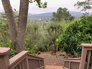 Steps down to fruit trees, walking path, fully fenced yard. Very private.