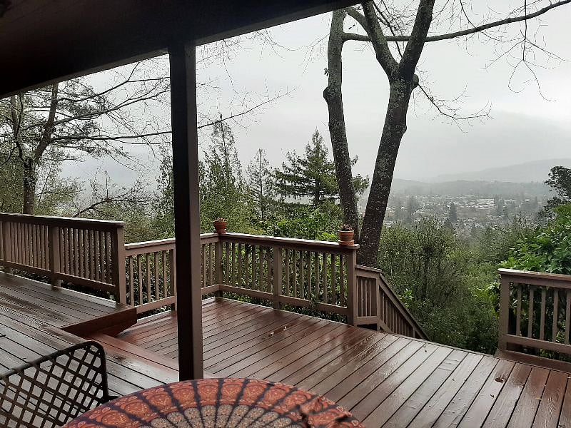 Freshness from the rain on front deck. Misty morning.