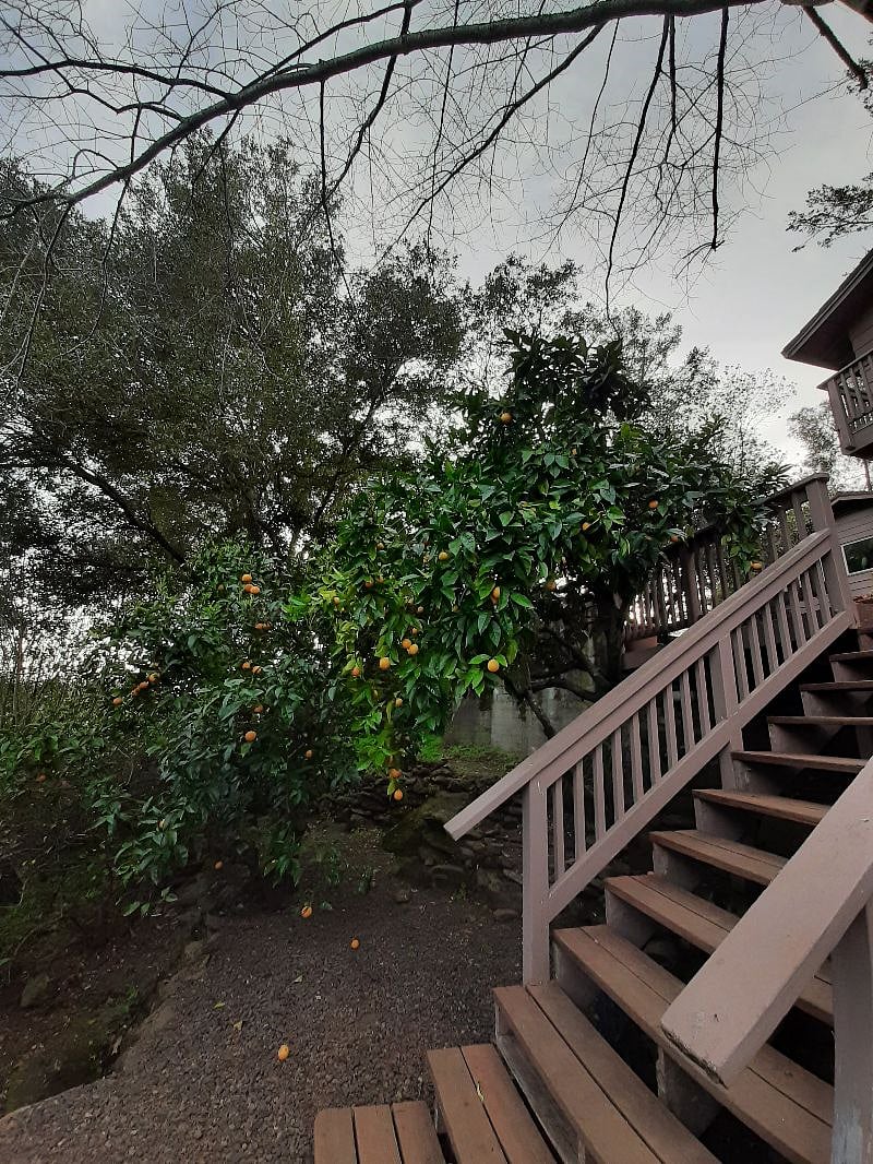 Steps from below up to house