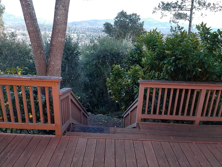 Furnished Finder property 406362_1 photo 47