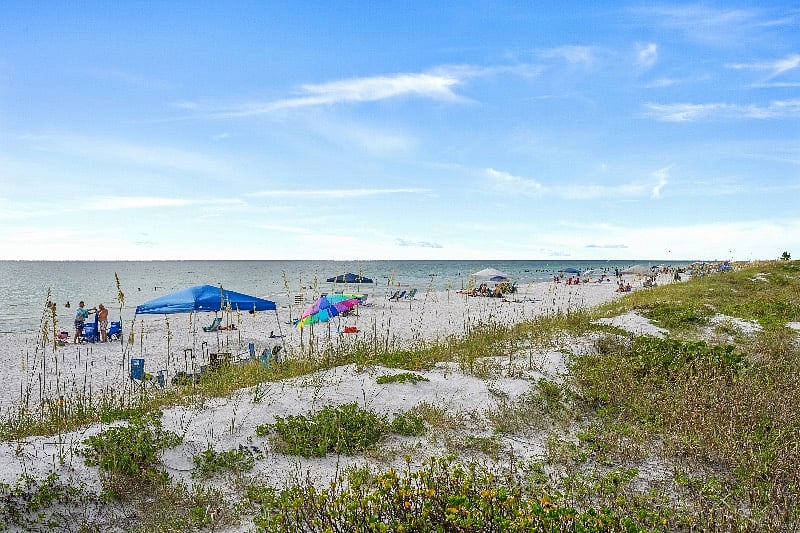 Furnished Finder property 406568_1 photo 24