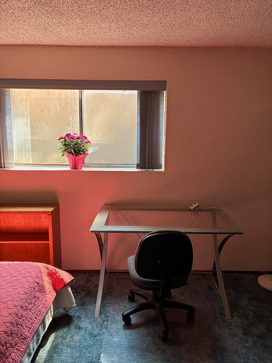 Furnished Finder property 406619_1 photo 3