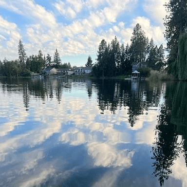 This is the view looking back to shore.