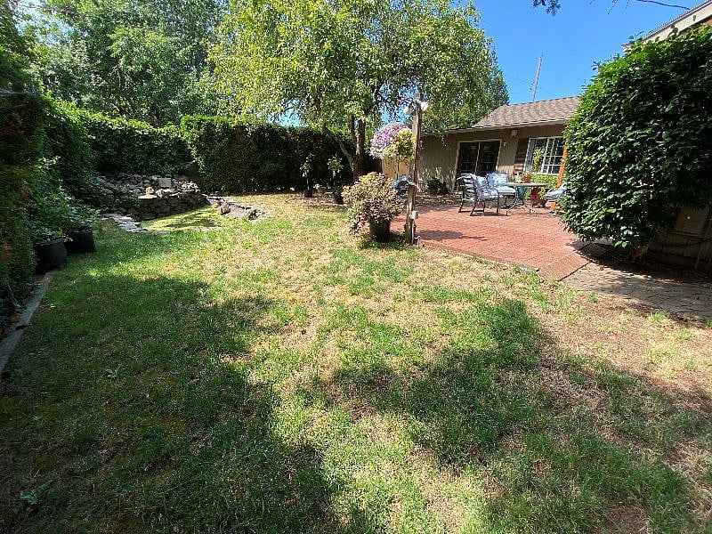 shared back yard