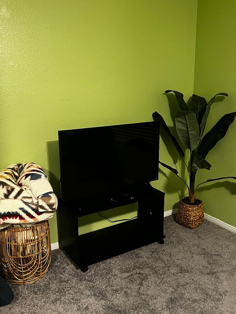 Furnished Finder property 406811_1 photo 16