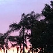 is this Hawaii?