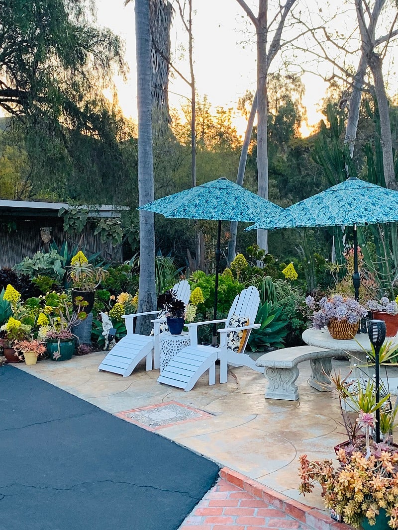 Enjoy panoramic views of the mountains surrounded by a huge succulent garden