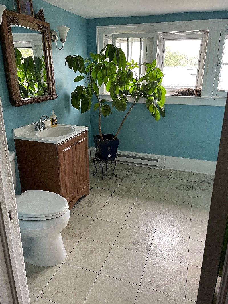 Furnished Finder property 407090_1 photo 6