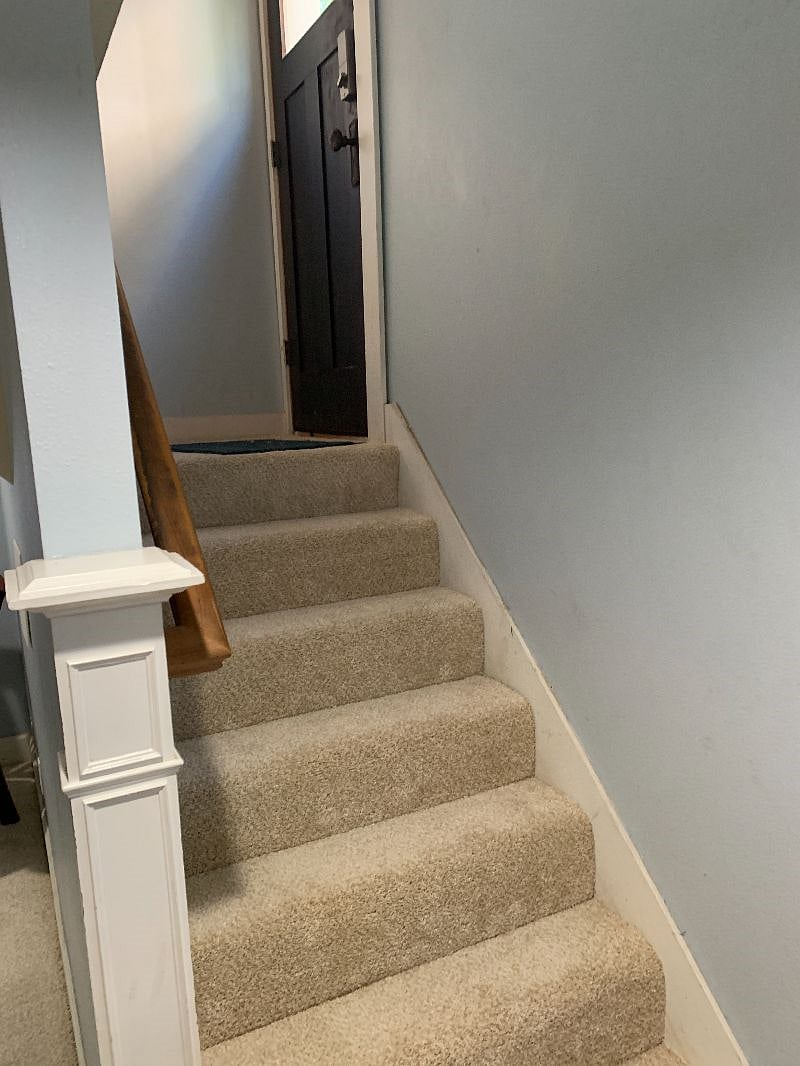 Stairs down from the entrance. The carpet is brand new and kept very clean.