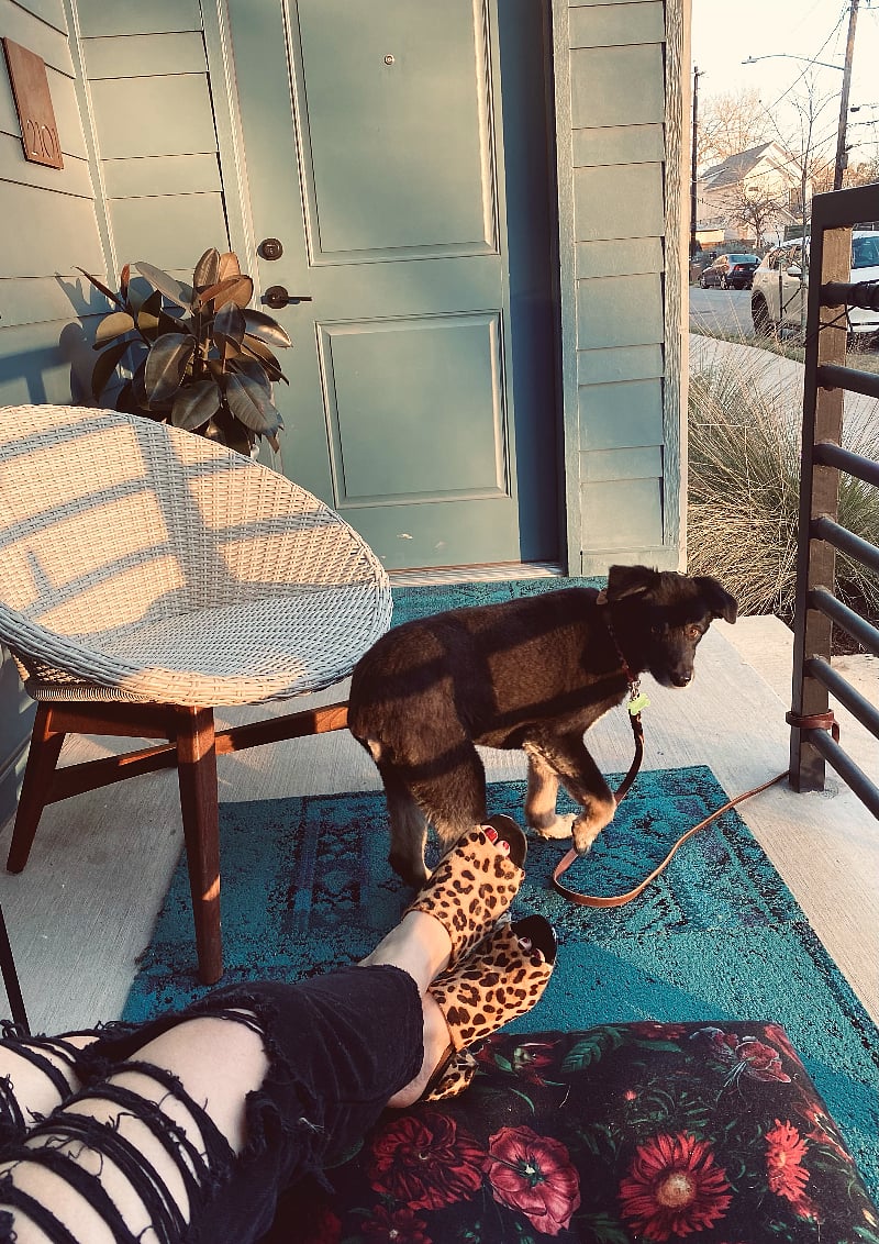 The patio has a latched gate. Your furry family can lounge on the porch without fuss. Use the gate to get in and out of the condo from street access.