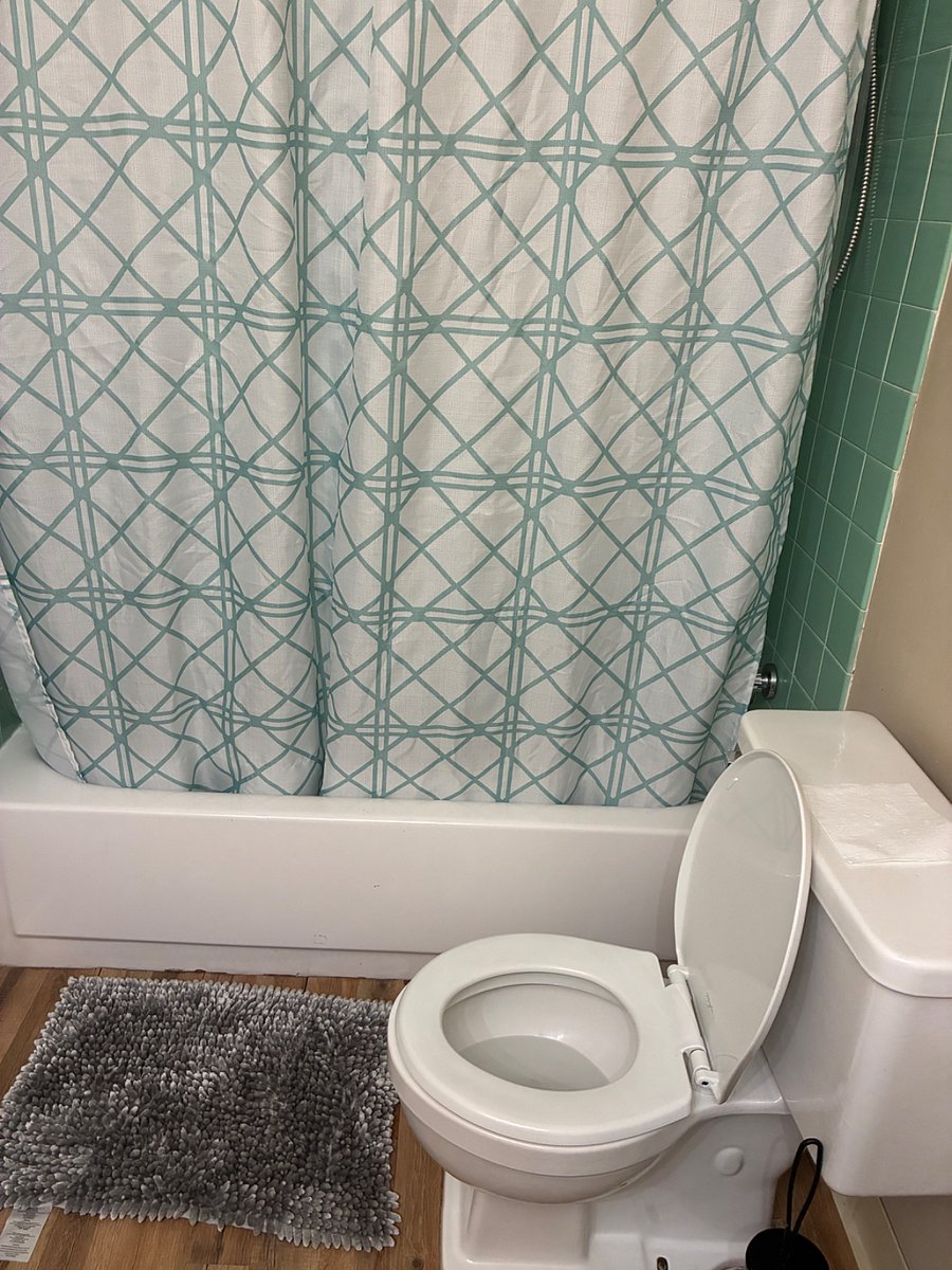 Furnished Finder property 407180_1 photo 24
